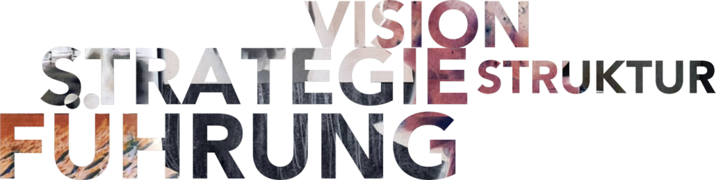 Vision Strategie Struktur Führung