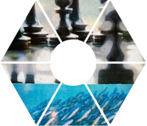 6D Strategy